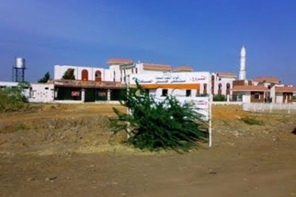 شبكة أطباء السودان: ندين عمليتي الاغتيال التي نفذتها قوات الدعم السريع بحق الطبيبين