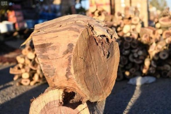 8000  ريال غرامة تحضير الفحم والحطب من المخلفات الشجرية دون ترخيص