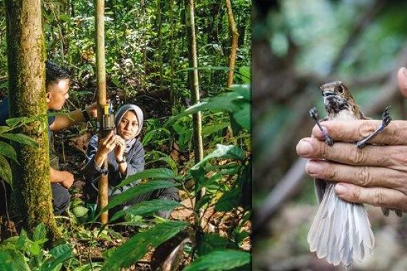 «صندوق محمد بن زايد للمحافظة على الكائنات الحية» يقدم منحاً لـ 93 مشروعاً