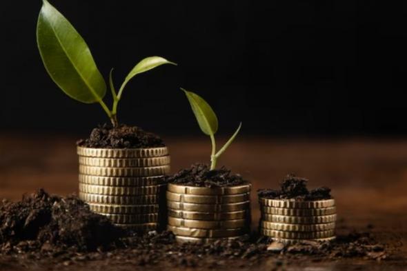 "بيئة الباحة" تطرح 7 فرص استثمارية مستقبلية ونوعية