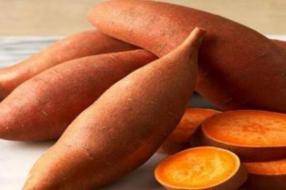 ماذا يحدث للجسم عند تناول البطاطا يوميا؟.. طبيب يخبرك الحقيقة كاملة