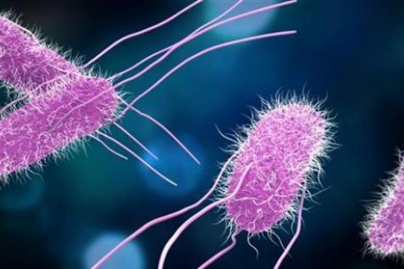 مرض نادر يتسبب في وفاة 26 شخصا.. ما هو المليودوسيس وأعراضه؟