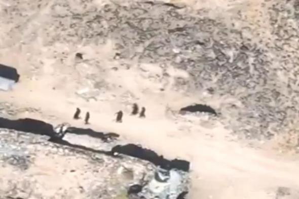 فيديو فضيحة "جهاد المتعة" في خنادق الحوثيين.. الزينبيات إلى الجبهات لإشباع الغرائز لا القتال