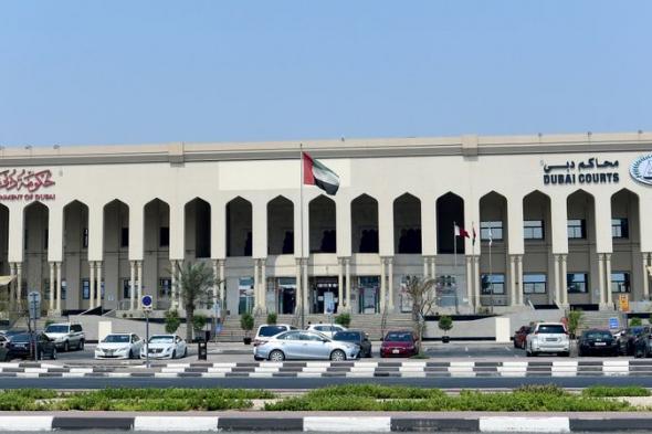 الامارات | عربي يعرّض سلامة الآخرين للخطر ويتطاول عليهم