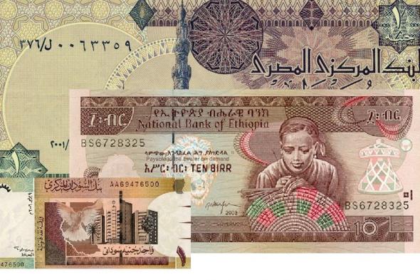 المصريون في الخارج يدعمون اقتصاد بلدهم بأرقام قياسية