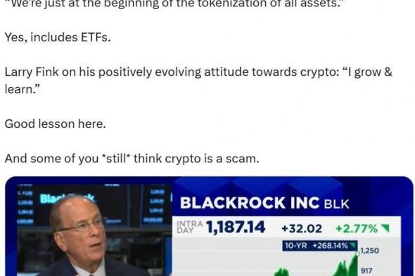 الرئيس التنفيذي لـ BlackRock يرى “موجة جديدة من الفرص” في ترميز الأصول