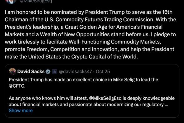 مايكل سيليغ يؤكد ترشيحه لرئاسة هيئة تداول السلع الآجلة وسط فراغ قيادي في الوكالة