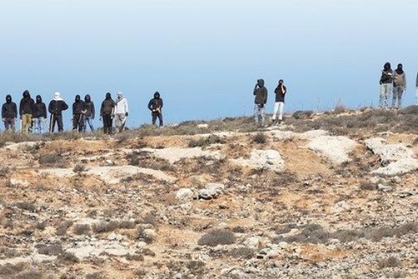 مستوطنون يهاجمون تجمعين فلسطينيين وقاطفي زيتون في 3 مناطق