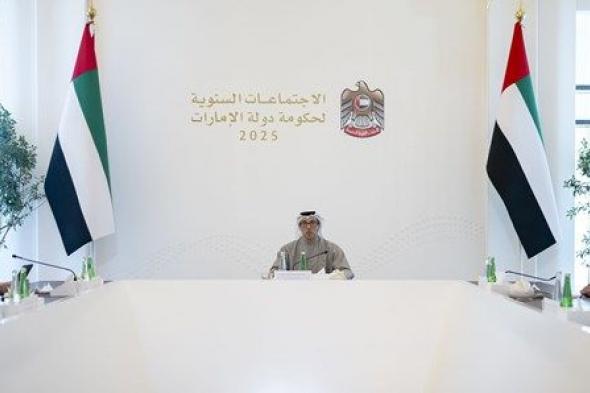 برئاسة منصور بن زايد.. مجلس الاستقرار المالي يعقد اجتماعه الثاني لعام 2025