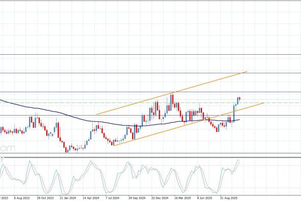 سعر الغاز الطبيعي يلتقط أنفاسه-توقعات اليوم 11-11-2025