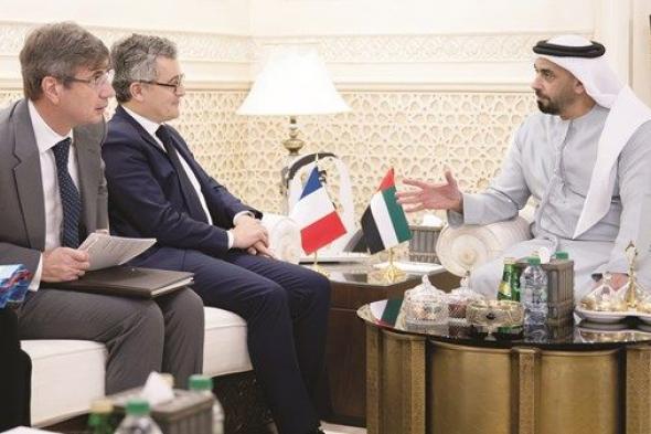 سيف بن زايد يلتقي وزير العدل الفرنسي
