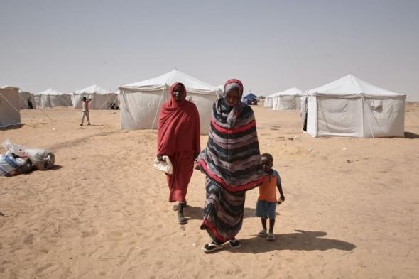 الجيش السوداني يعلن استعادة جبل أبو سنون