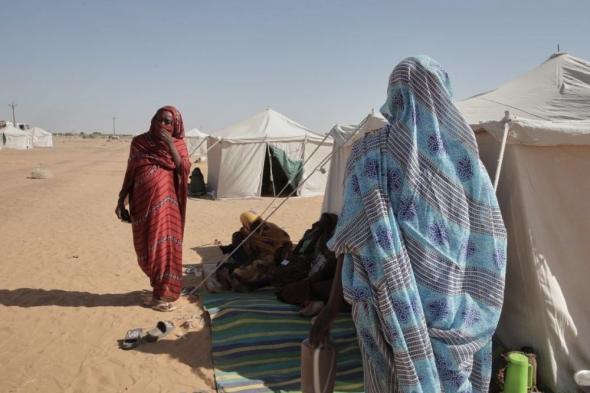 مدينة الفاشر تسقط في الصمت الدولي ومعاناة بلا مفر