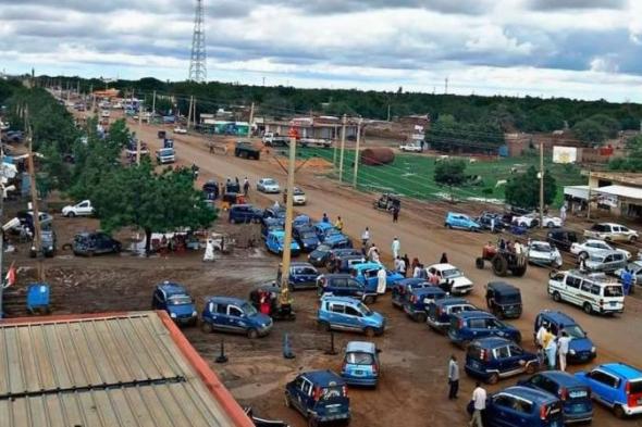 تقييم حجم الضرر في الغابات بالدالي والمزموم والعمل على إعادة إعمارها