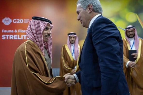 وزير الخارجية يلتقي عددا من نظرائه على هامش قمة العشرين