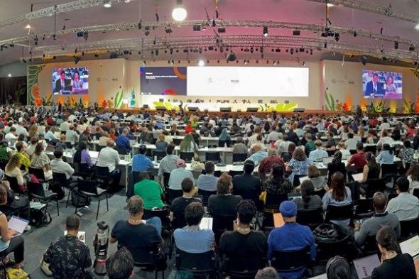 "كوب 30" يقر تسوية بشأن المناخ