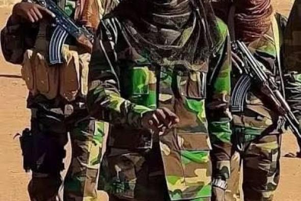 القيادية بالحرية والتغيير حنان حسن: قائد القوات المشتركة عبد الله جنا طريح الفراش بمستشفى عسكري بدولة مجاورة بعد إصابته بالشلل وناشطة تنفي الخبر وتكشف عن مكان تواجده