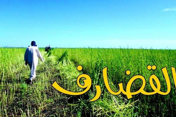 بدء عمليات الرش الجوى لمكافحة نواقل الامراض بالقضارف