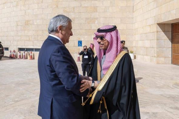وزير الخارجية يبحث مع نظيره الإيطالي العلاقات الثنائية