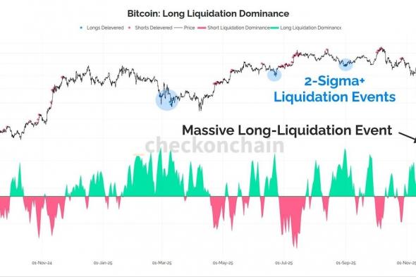 بيتكوين قد تشهد “تصفية رافعة مالية أخيرة” دون مستوى 80 ألف دولار.. يحذّر محلل