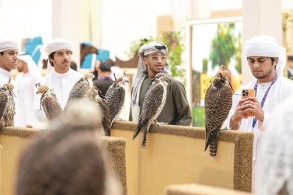 حضور واسع في النسخة الأولى من «العين للصيد والفروسية»