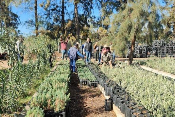 وزارة الزراعة أطلقت حملة توزيع الاشجار على مزارعي عكار