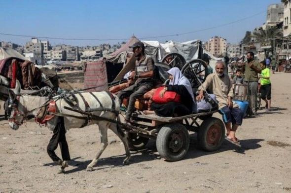 شينخوا: وسائل نقل بدائية تعود إلى شوارع غزة وسط دمار واسع وارتفاع حاد في أسعار الوقود