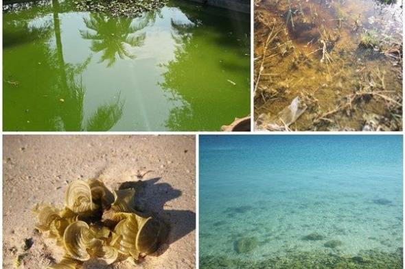 علماء في "نيويورك أبوظبي" يطورون أداة مبتكرة تدعم حلول الطاقة النظيفة