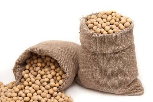 عقود الصويا تغلق على انخفاض للجلسة الرابعة على التوالي