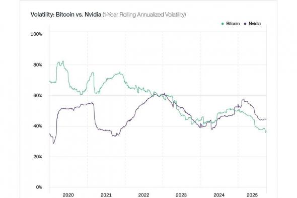 Bitwise: تقلبات بيتكوين أقل من إنفيديا في 2025 مع اتساع قاعدة المستثمرين
