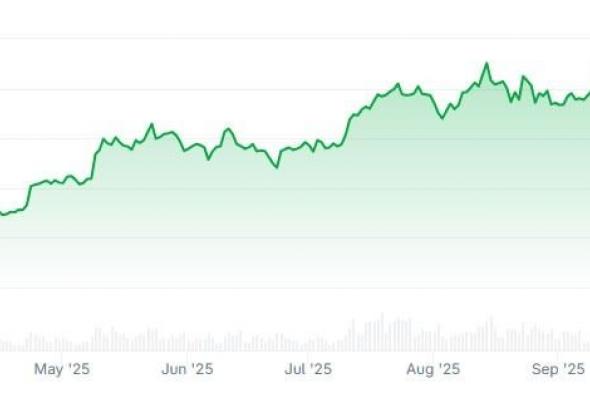العملات الرقمية تمتلك كل مقومات السوق الصاعدة، فلماذا يواصل السوق الهبوط؟