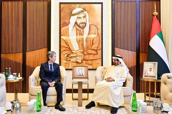 المجلس الوطني الاتحادي والبرلمان الياباني يبحثان تعزيز التعاون