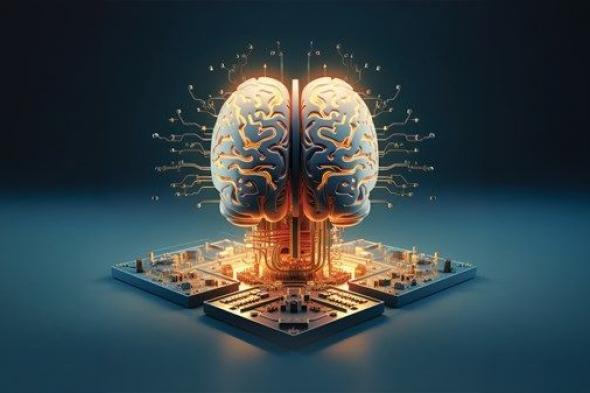 الذكاء الاصطناعي.. 97% نسبة الاستخدام و450 ألف مبرمج في الدولة