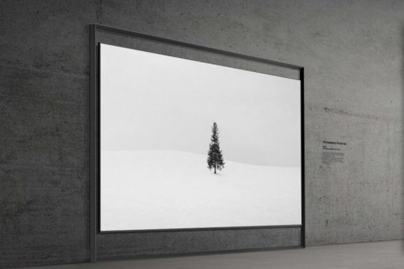 تكنولوجيا: سامسونج تكشف عن أول تلفاز Micro RGB بحجم 130 بوصة وتغطية كاملة لألوان BT.2020 في #CES2026