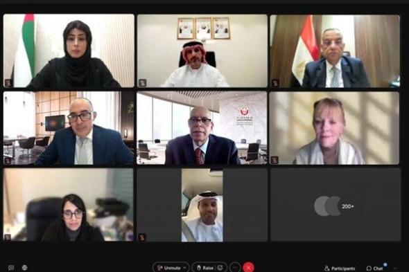 «السلامة الرقمية للطفل» يناقش دور منصات التواصل الاجتماعي في حماية أجيال المستقبل