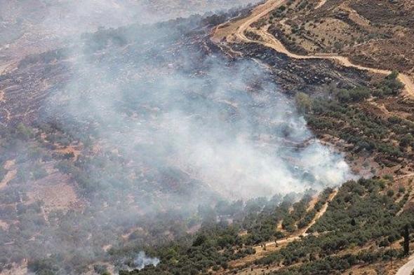 مستوطنون متطرفون يحرقون مدرسة و5 مركبات في نابلس