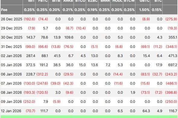 تقلبات حادة لصناديق بيتكوين المتداولة مع تدفّق 46 مليار دولار إلى الصناديق التقليدية في 2026