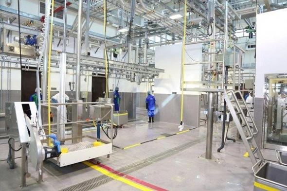 "بلدية العين" تعزز منظومة الصحة العامة خلال 2025