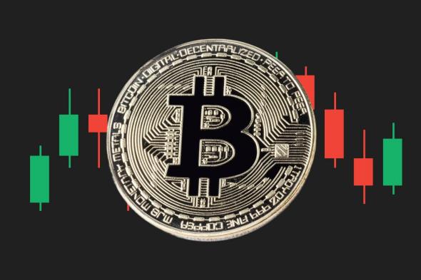 سعر XMR يرتفع بنسبة 54% أسبوعيا وسعر البيتكوين يستقر فوق 95 ألف دولار