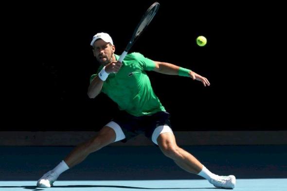 بطولة أستراليا: ديوكوفيتش إلى الدور الثالث بمساعدة من "شجرة"