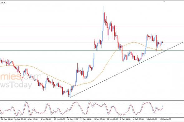 تحديث مسائي لزوج اليورو مقابل الدولار اليوم 12-02-2026