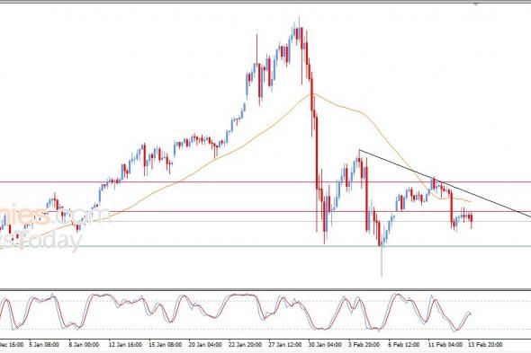 سعر الفضة يظهر المزيد من العلامات السلبية – توقعات اليوم – 16-02-2026