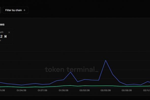 رسوم Polygon اليومية تتفوق على إيثريوم وسط طفرة أسواق التنبؤات