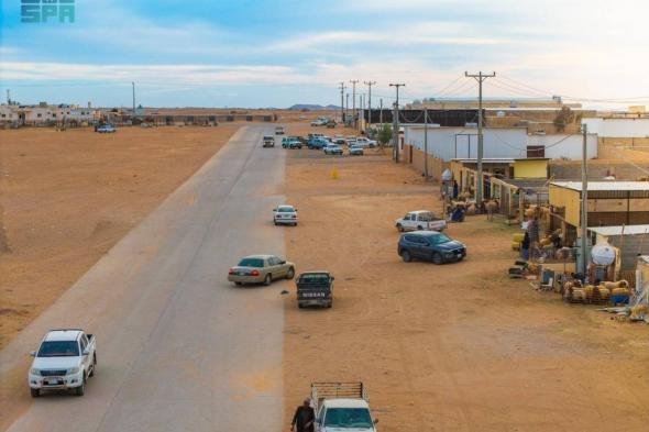 أسواق الماشية في الحدود الشمالية تشهد نشاطا متزايدا مع قرب رمضان