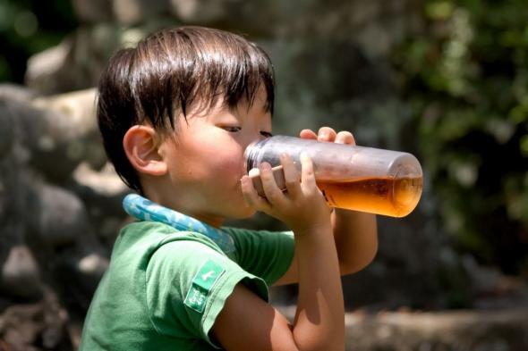 اليابان | وسط تغير المناخ… اليابان تسجل عامًا قياسيًا جديدًا في درجات الحرارة