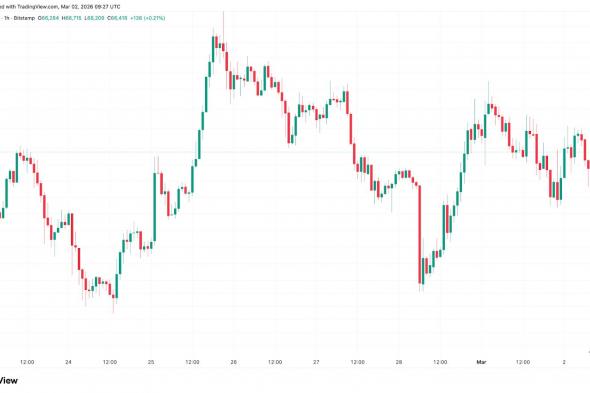 هل سينهار بيتكوين إذا بلغت أسعار النفط 100 دولار للبرميل؟