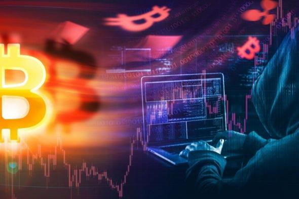 سرقة 24 مليون دولار من مستثمر كريبتو بعد تهديده بالعنف: التفاصيل