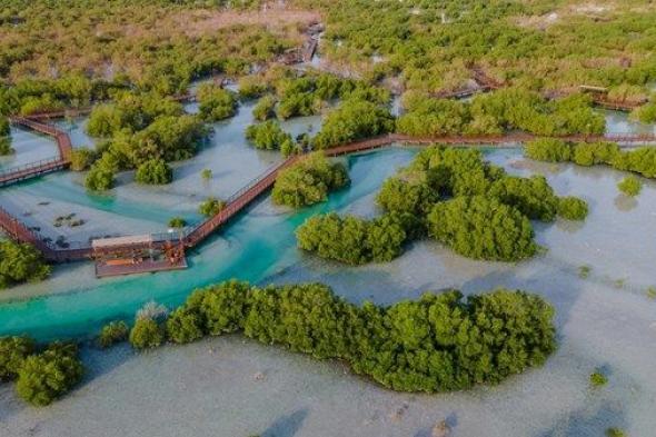 "بيئة أبوظبي" و"طاقة" تتعاونان لحماية التنوع البيولوجي