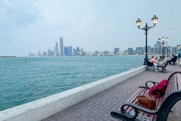 أجواء غائمة وسقوط أمطار خفيفة على بعض المناطق