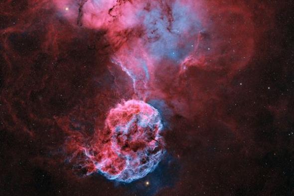 تصوير "قنديل البحر" في سماء أبوظبي